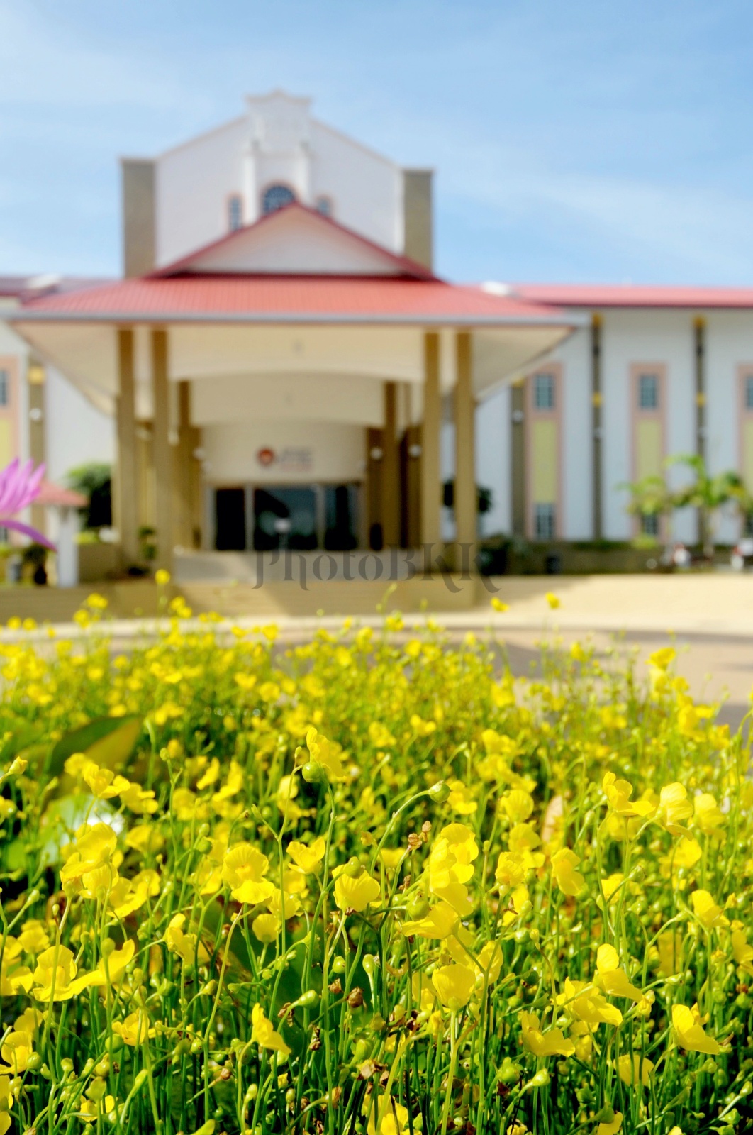 Dewan besar bunga kuning